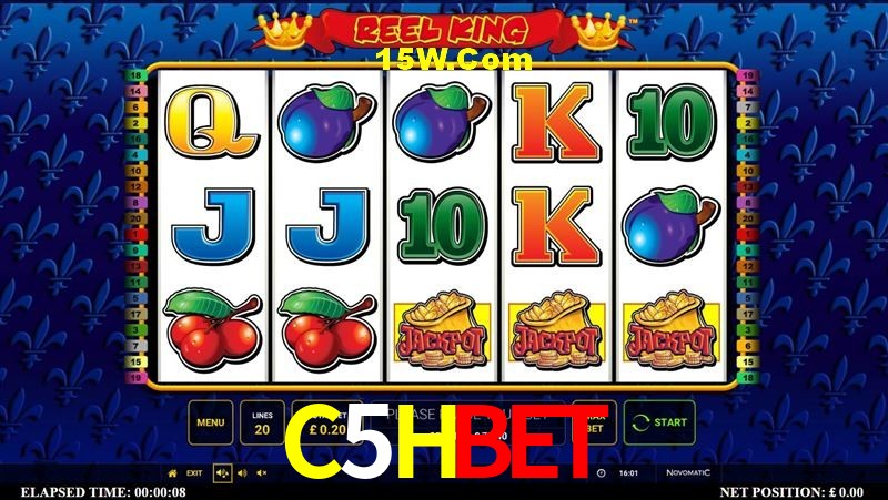 Game Providers C5Hbet